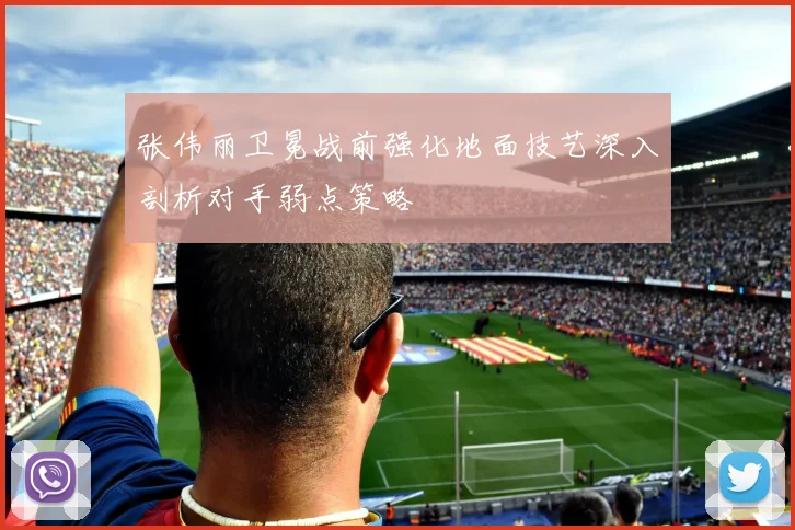 张伟丽卫冕战前强化地面技艺深入剖析对手弱点策略